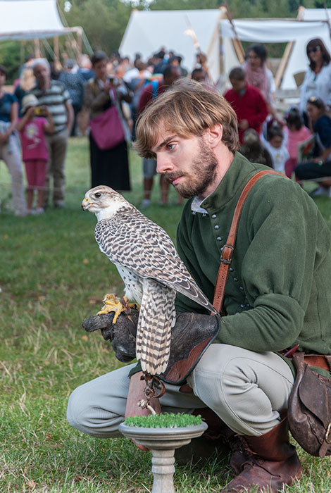 festa medievale a volterra falconieri