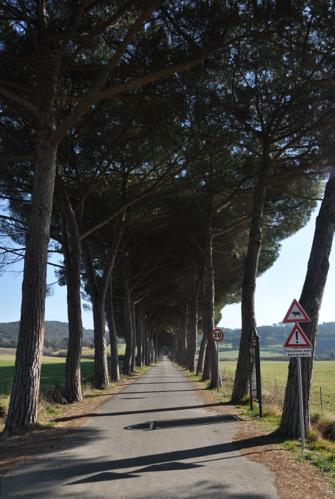 hotel a volterra per escursioni natura