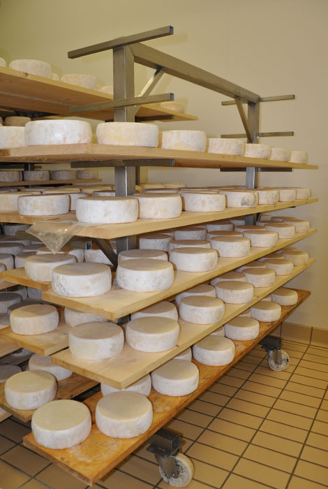 last minute volterra in autunno formaggio