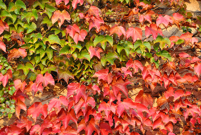 last minute volterra in autunno magia